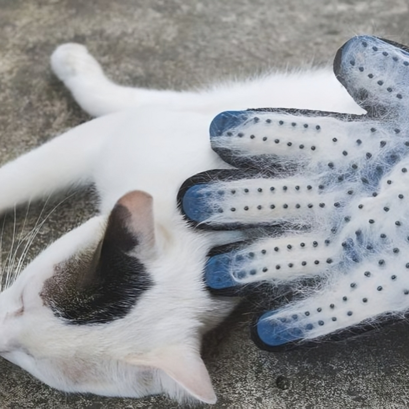 Pet Grooming Gloves (Left and Right Glove)