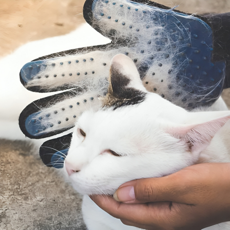 Pet Grooming Gloves (Left and Right Glove)